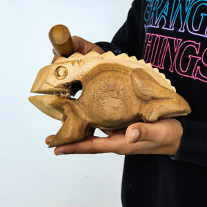 Sapo reque
